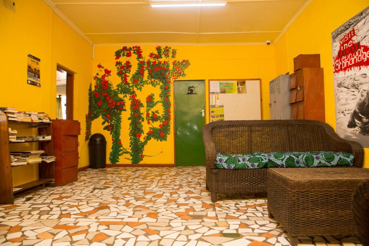 Lusaka Backpackers Hostel Bagian luar foto